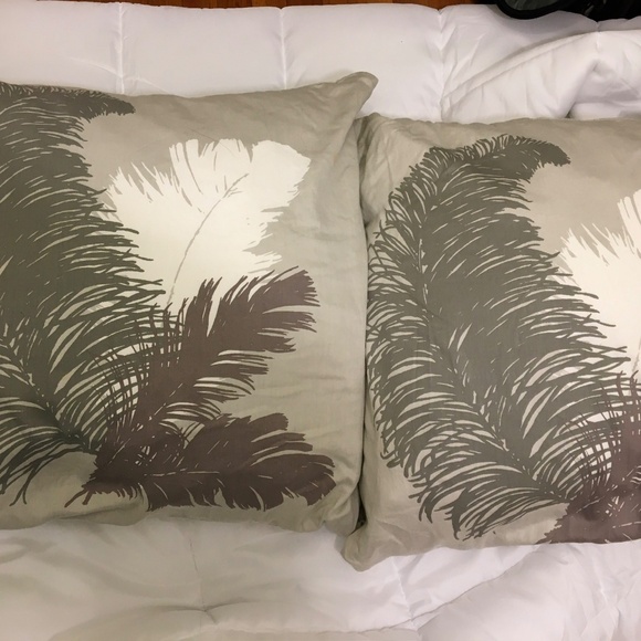 West Elm Two Sateen Tossed Feather Euro Sham Covers - Picture 1 of 3